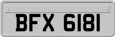 BFX6181