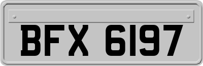 BFX6197