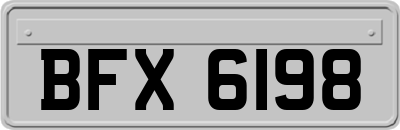 BFX6198