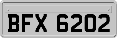 BFX6202