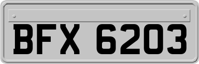 BFX6203