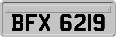 BFX6219