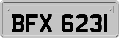 BFX6231