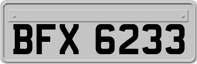BFX6233