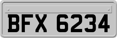 BFX6234