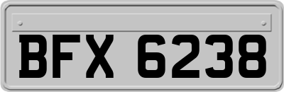 BFX6238