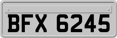 BFX6245