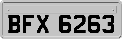 BFX6263