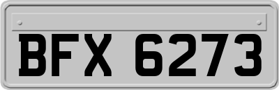 BFX6273
