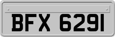BFX6291
