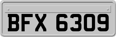 BFX6309