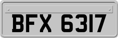 BFX6317