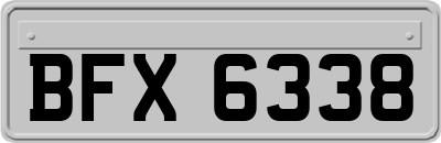 BFX6338
