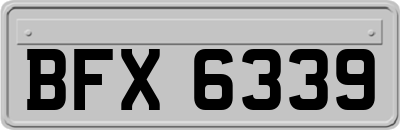 BFX6339