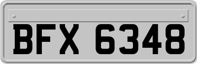 BFX6348