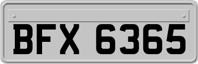 BFX6365