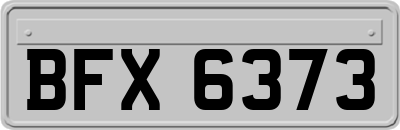 BFX6373