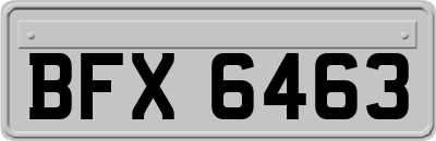 BFX6463