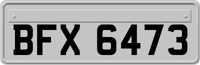 BFX6473