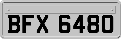 BFX6480