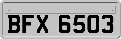 BFX6503