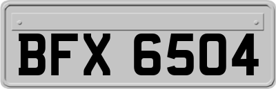 BFX6504