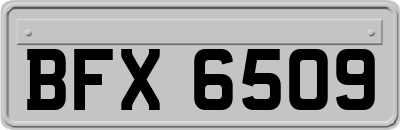 BFX6509