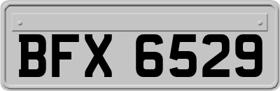 BFX6529