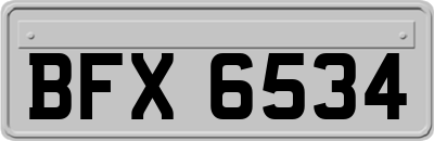 BFX6534