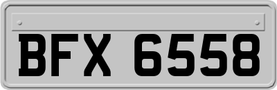 BFX6558