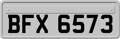 BFX6573