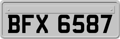 BFX6587