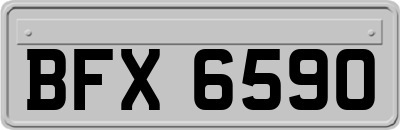 BFX6590