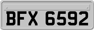 BFX6592