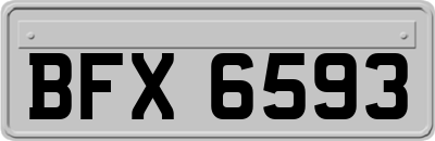 BFX6593