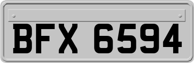 BFX6594