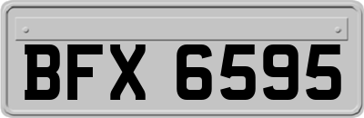 BFX6595