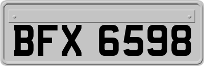 BFX6598
