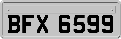 BFX6599