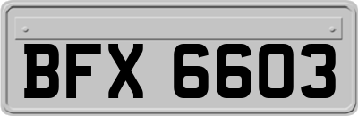 BFX6603