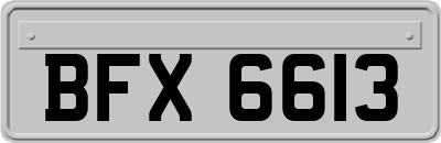 BFX6613