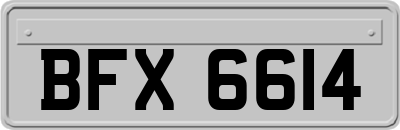 BFX6614