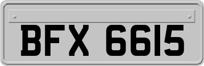 BFX6615