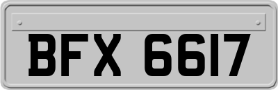 BFX6617