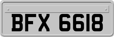 BFX6618
