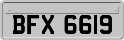 BFX6619