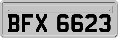 BFX6623