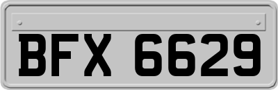 BFX6629
