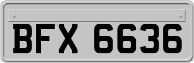 BFX6636
