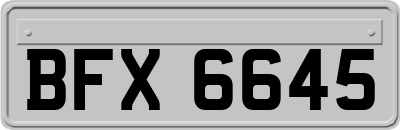 BFX6645